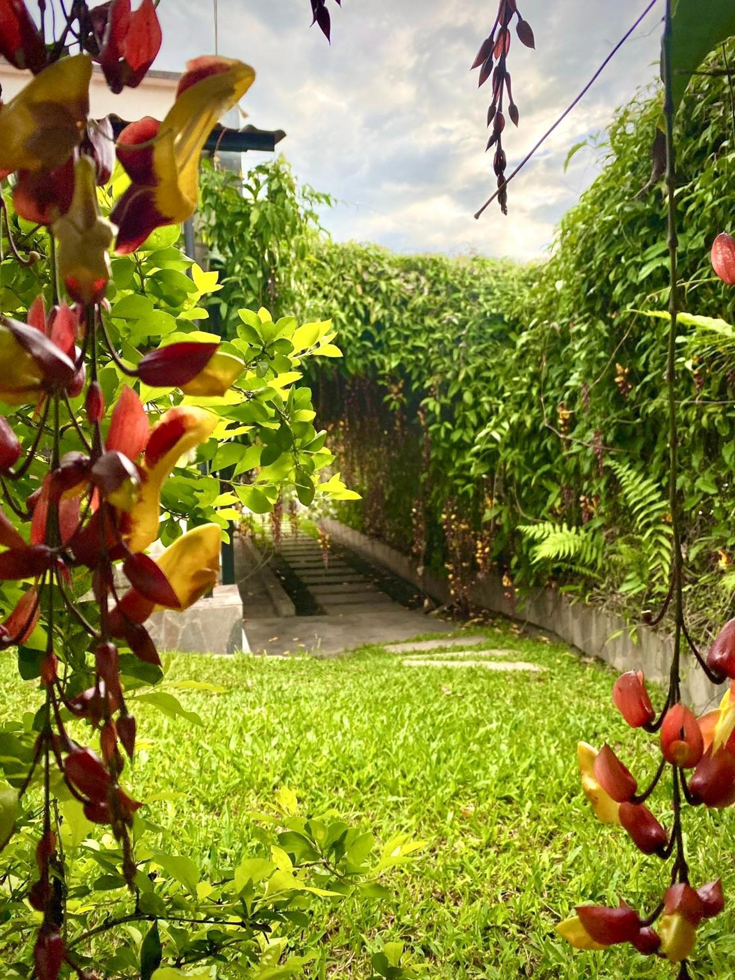Hotel Casa Campestre Hh キンバヤ エクステリア 写真